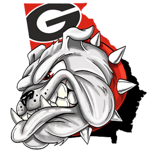 GA Bulldogs Hoodie