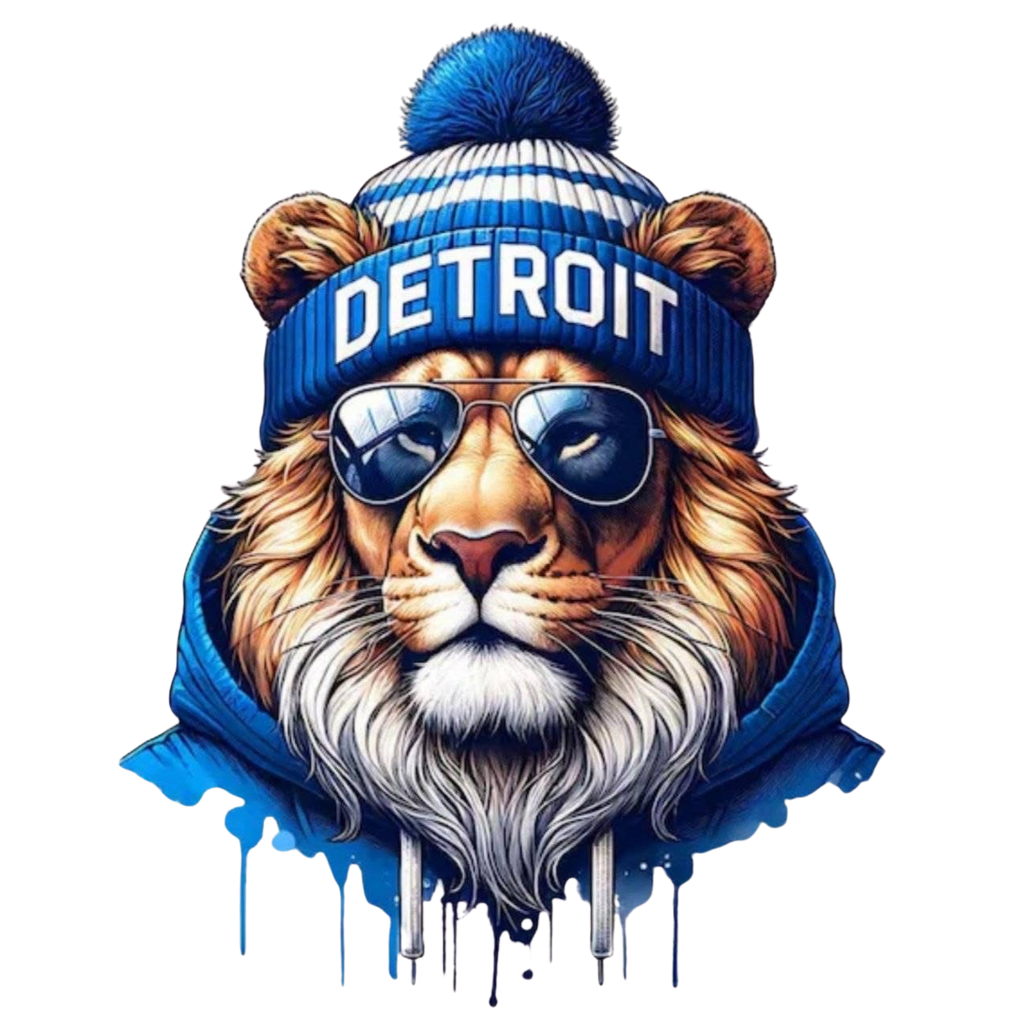 Lets go Lions Hoodie