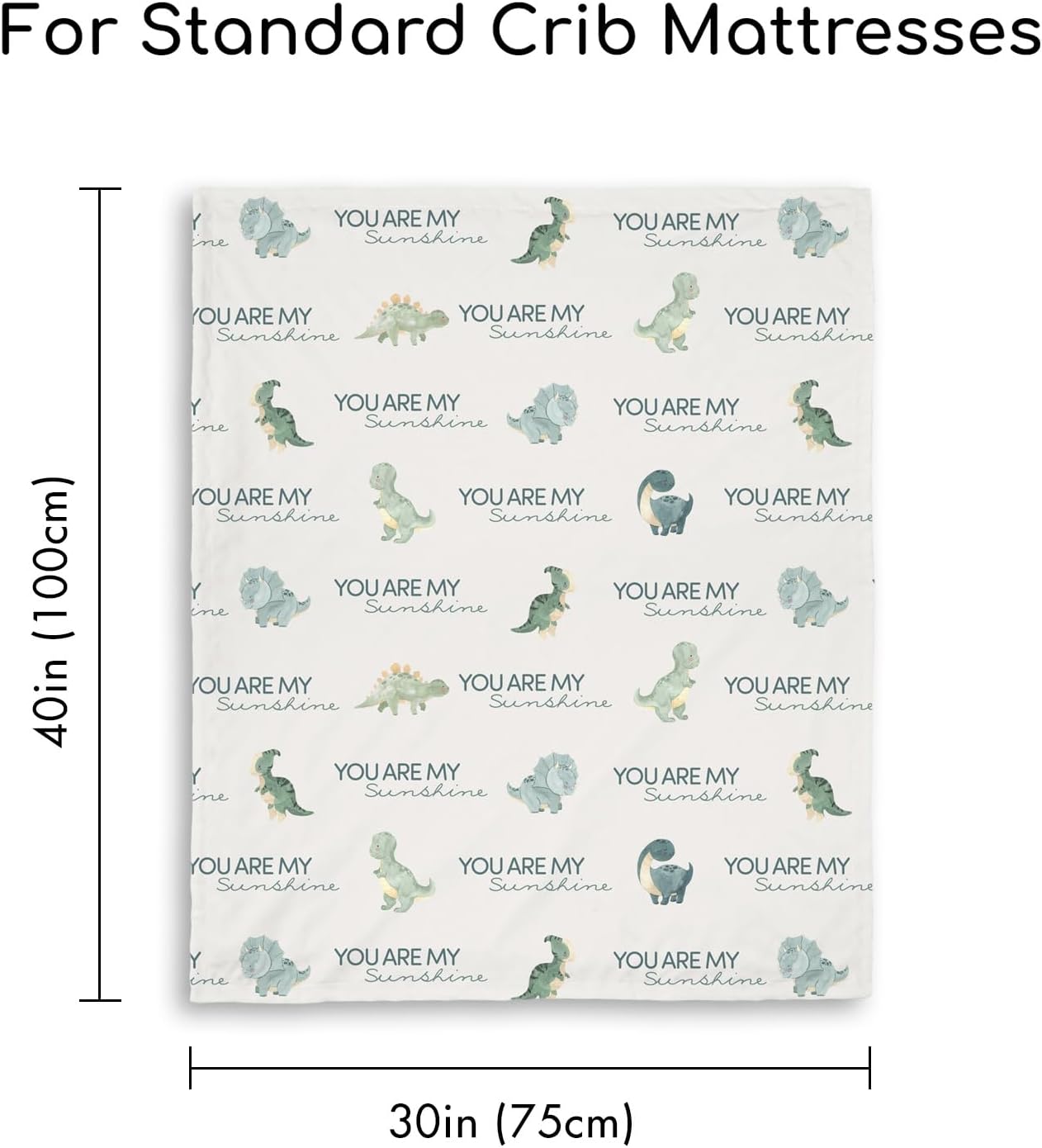 Minky Baby Throw 30"x40"