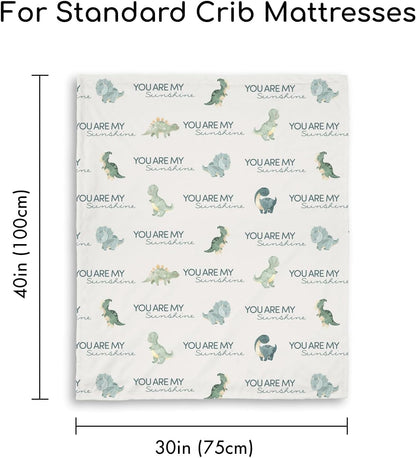 Minky Baby Throw 30"x40"