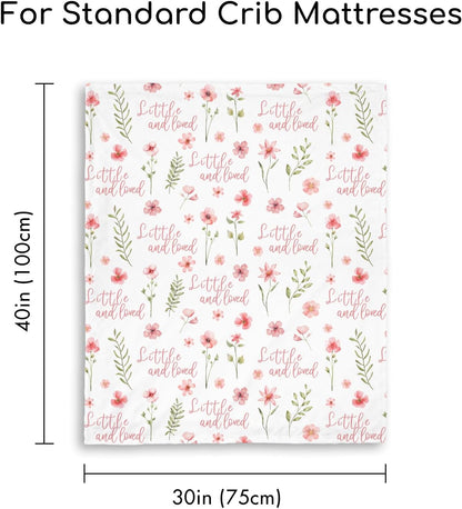 Minky Baby Throw 30"x40"